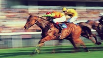 Horse Racing