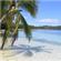 Travel deals